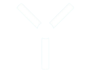 Bodygee 3D body intelligence